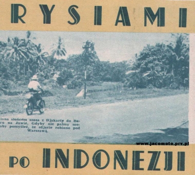 Rysiami po Indonezji