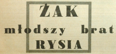 Żak młodszy brat Rysia